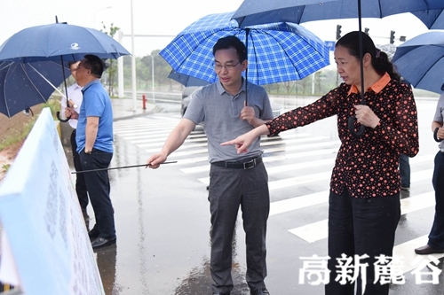 1 6月15日,副市长廖建华(右一)调研麓谷项目建设。刘攀 摄.JPG