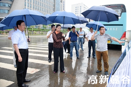 2 高新区管委会主任谭勇(左一)陪同调研。刘攀 摄.JPG