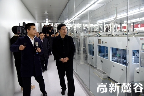 2.省委常委、市委书记胡衡华(前排右)仔细了解红太阳光电发展情况。段欣妤 摄.JPG