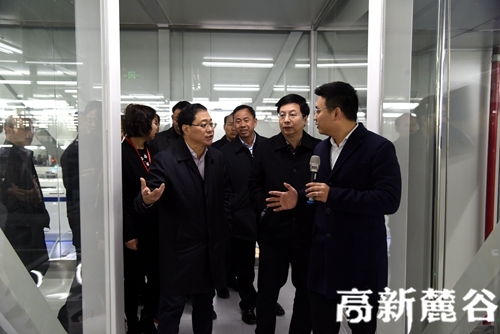 3.市委副书记、市长、湖南湘江新区党工委书记陈文浩(前排左)参观项目。段欣妤 摄.JPG