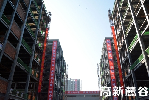 9.1华自科技二期已完成主体建设。袁路华 摄.JPG