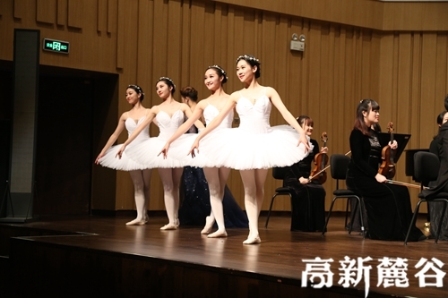 6、中南大学学生带来的优美舞蹈天鹅舞。陈丹妮 摄.JPG